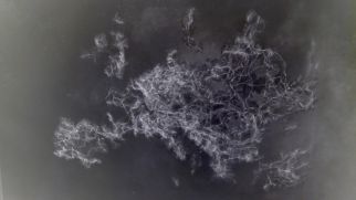 Simona Koch, Grenzen